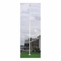 Ss Collectibles Villager III Fiberglass Flagpole-20 Ft. SS2187379